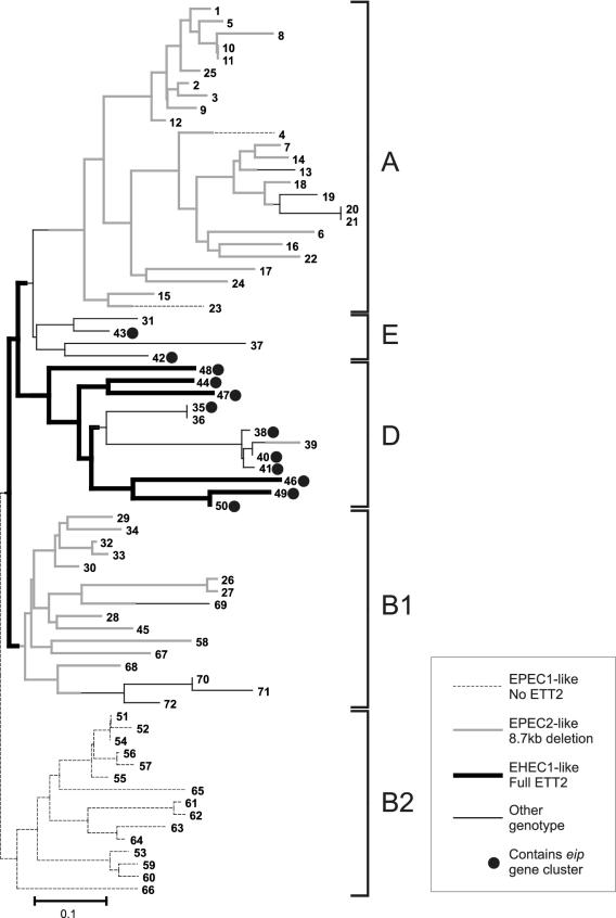 FIG. 5.