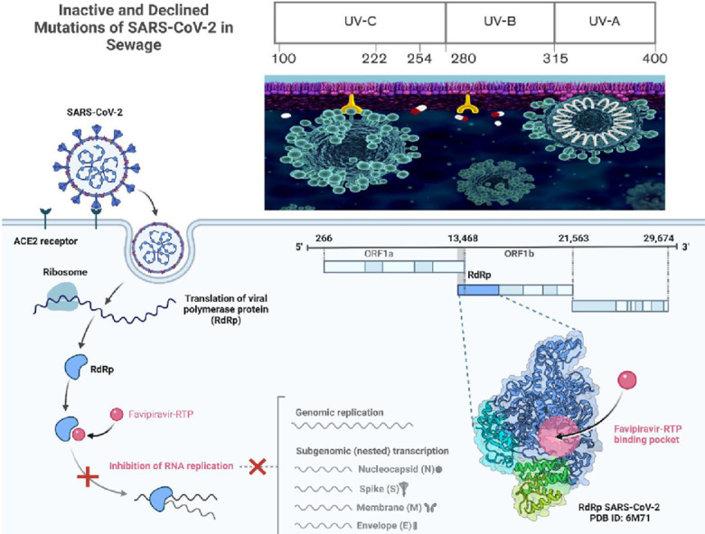 Image, graphical abstract