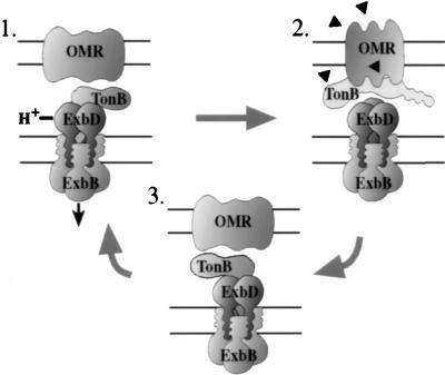 FIG. 7