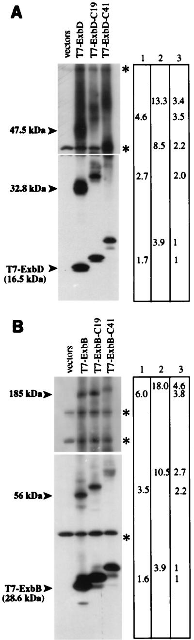 FIG. 6