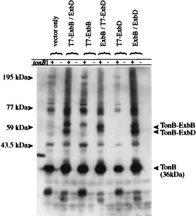 FIG. 5