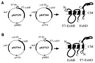 FIG. 1