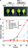 Figure 2.