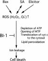 Figure 9.