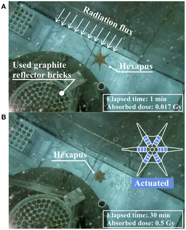 Figure 9