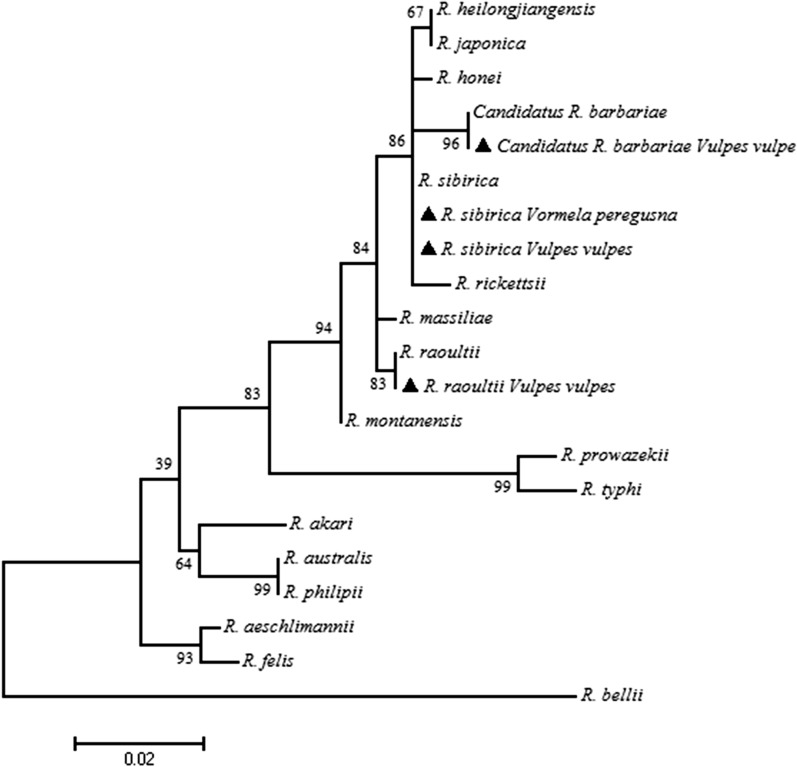 Fig. 2