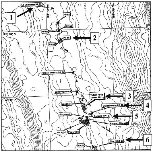 FIG. 1.