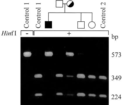 Figure  3