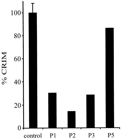 Figure  4