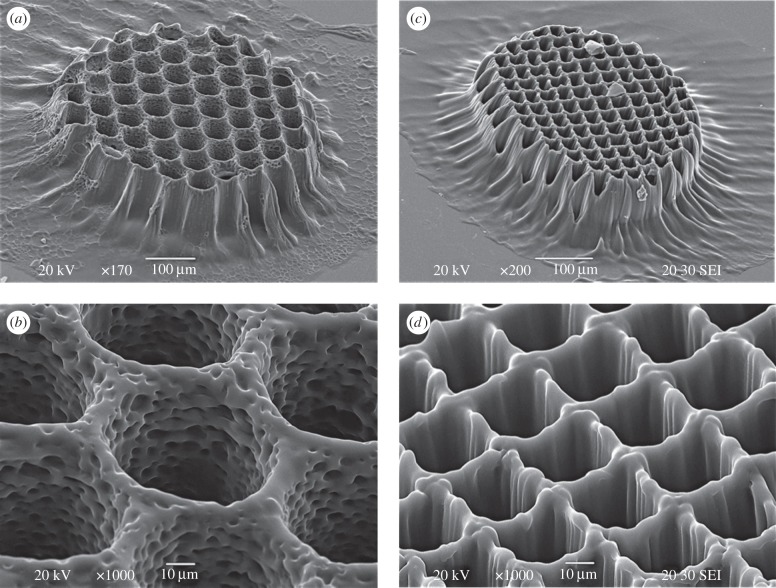 Figure 4.