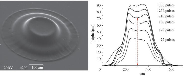 Figure 2.