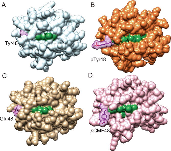 Fig. 3