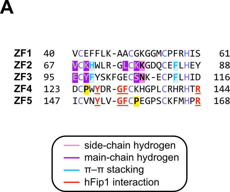 Figure 1—figure supplement 1.