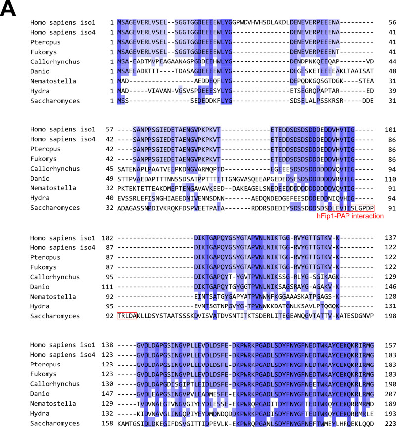 Figure 4—figure supplement 2.