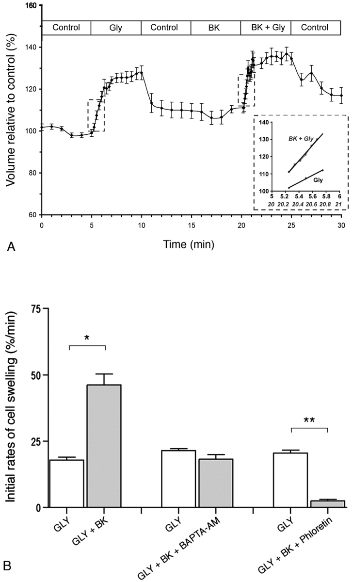 FIG. 8.