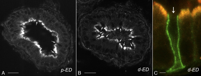 FIG. 6.