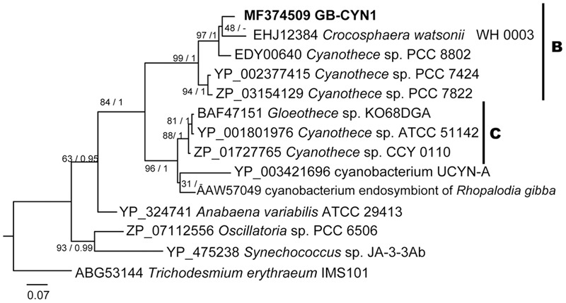 FIGURE 4