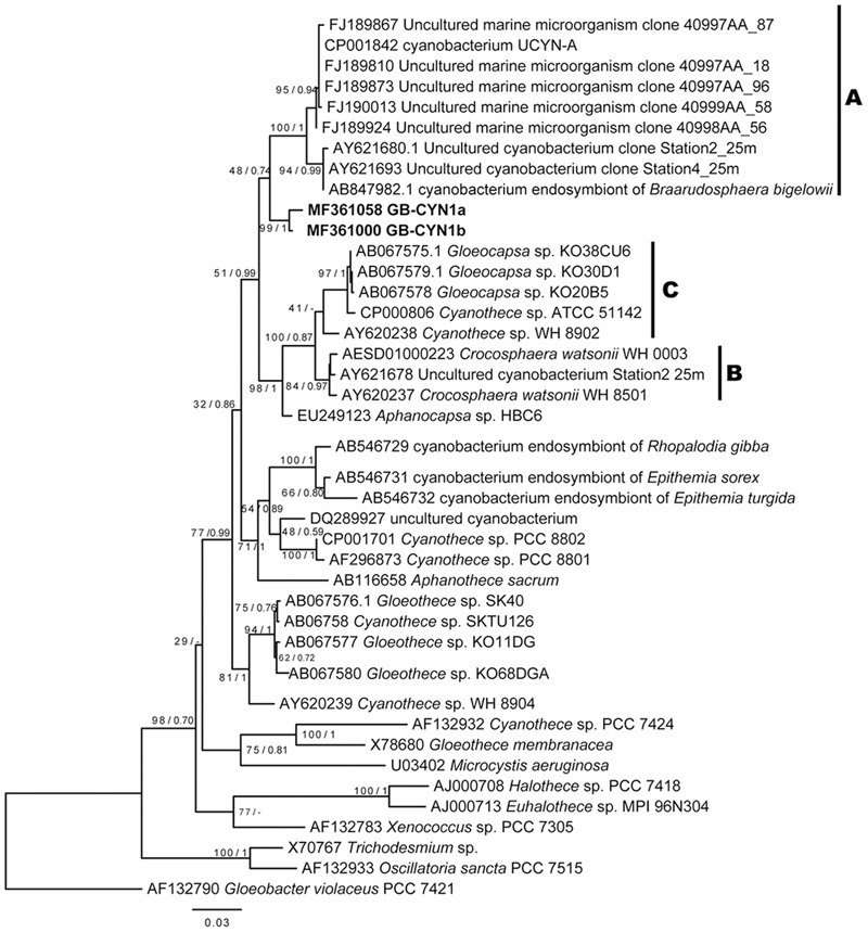 FIGURE 3