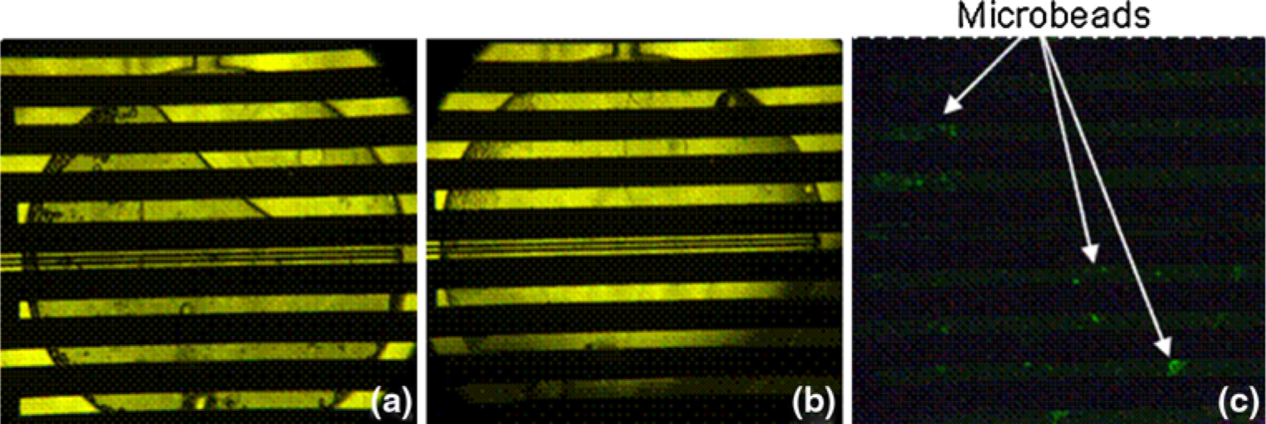 Fig. 11