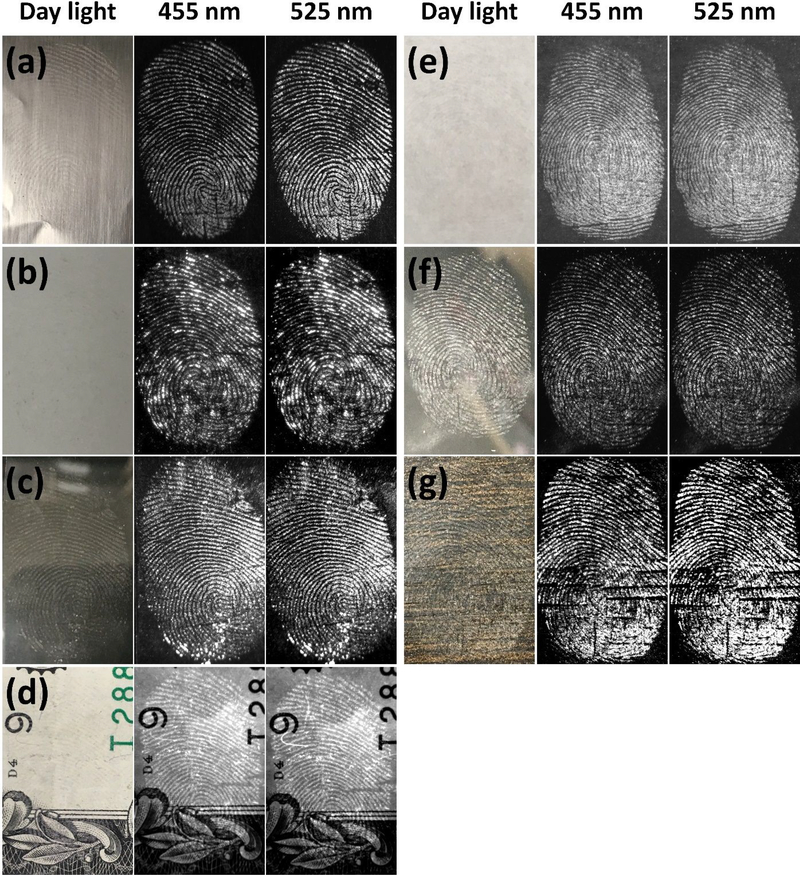 Figure 5.