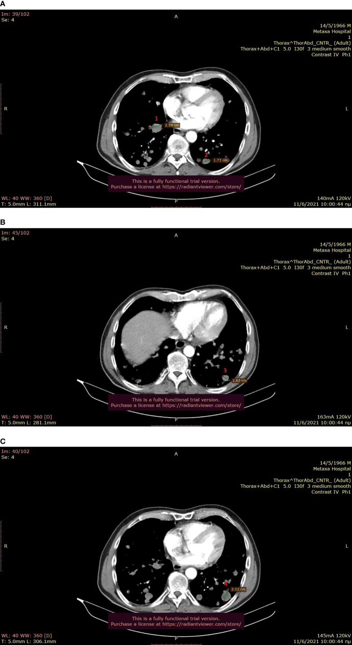 Figure 1