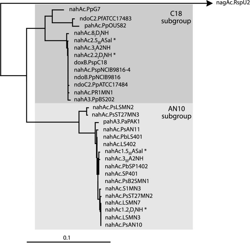 FIG. 3.