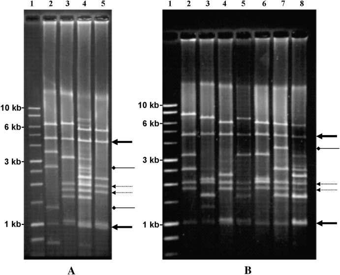 Figure 2.—