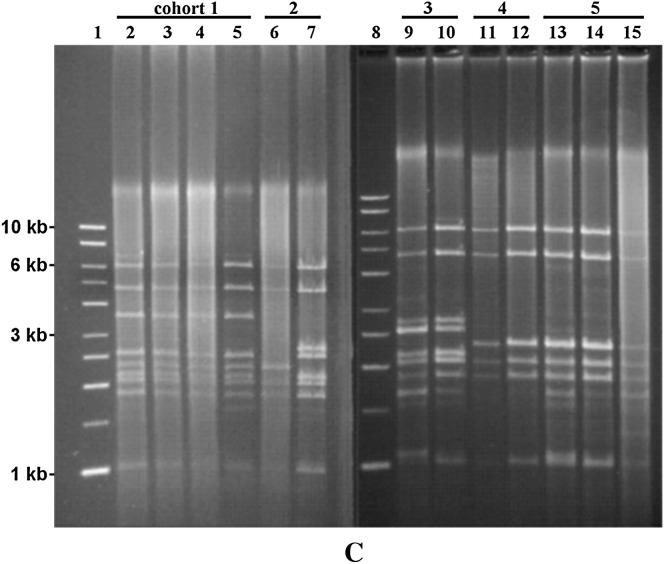 Figure 2.—