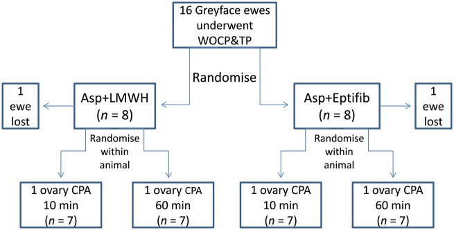 Figure 1