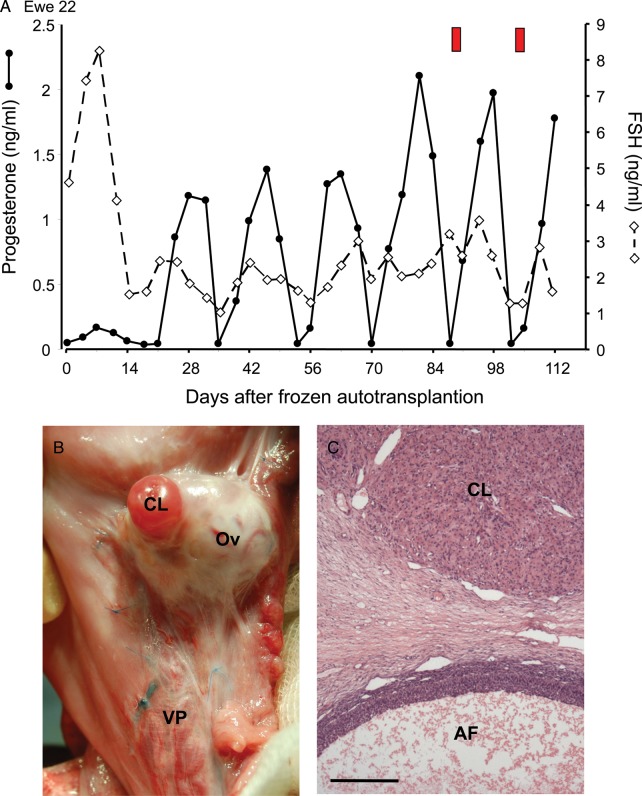 Figure 2