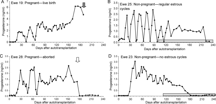 Figure 5