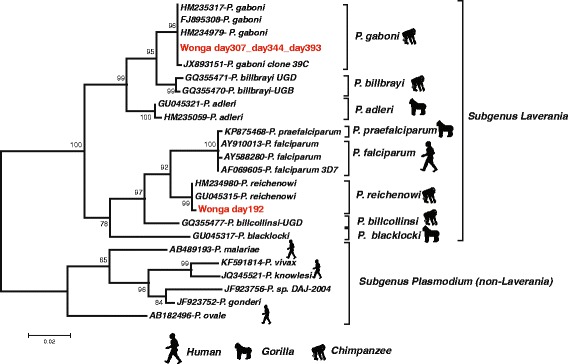 Fig. 1