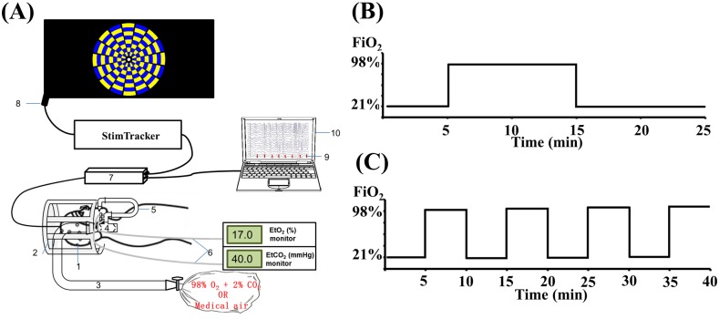 Fig 1