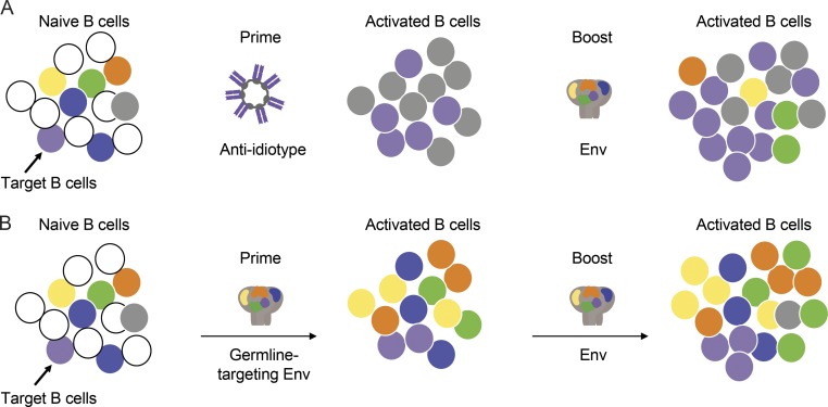 Figure 7.