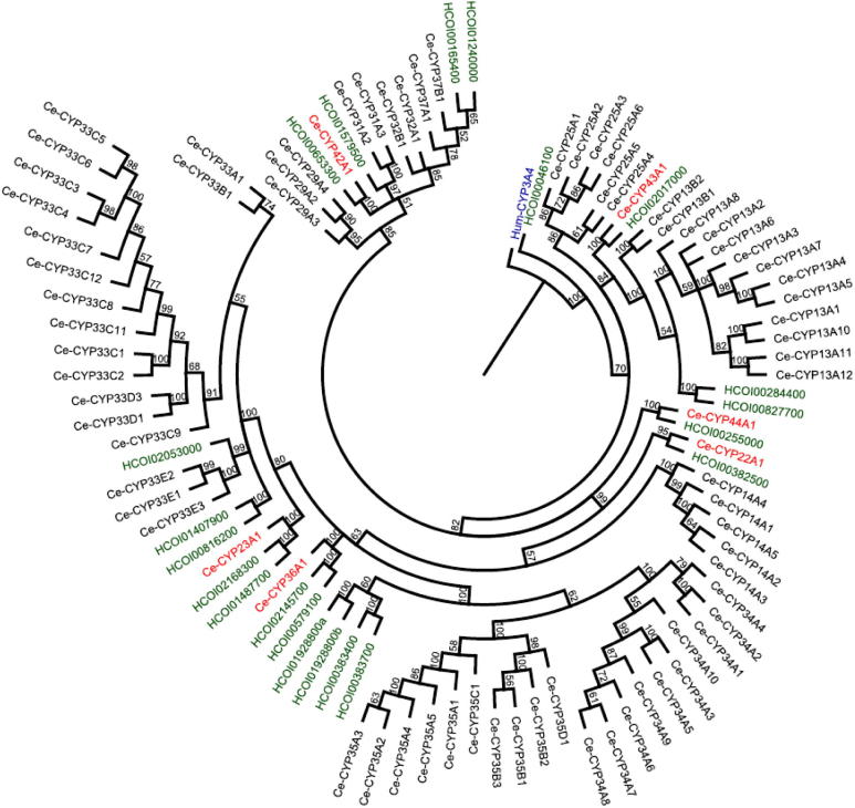 Fig. 3