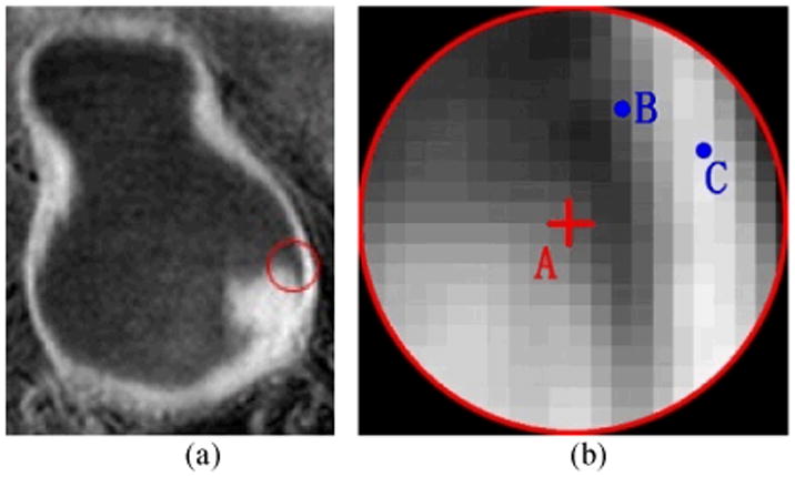 Fig. 5