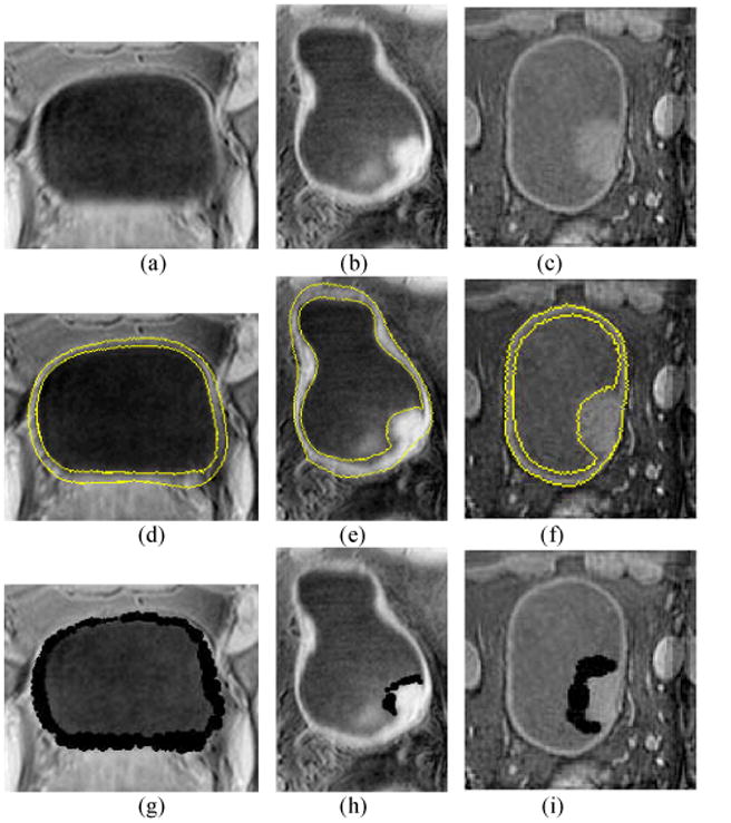 Fig. 8