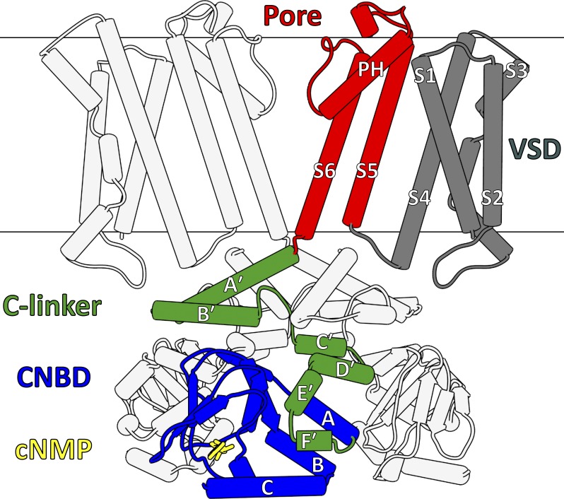 Figure 3.