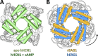 Figure 11.