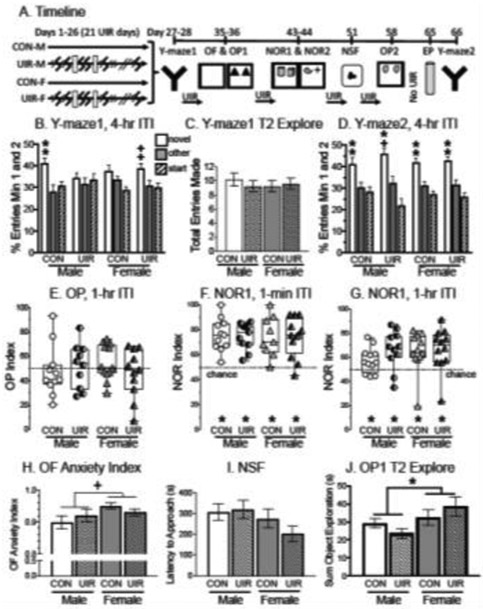 Fig. 4: