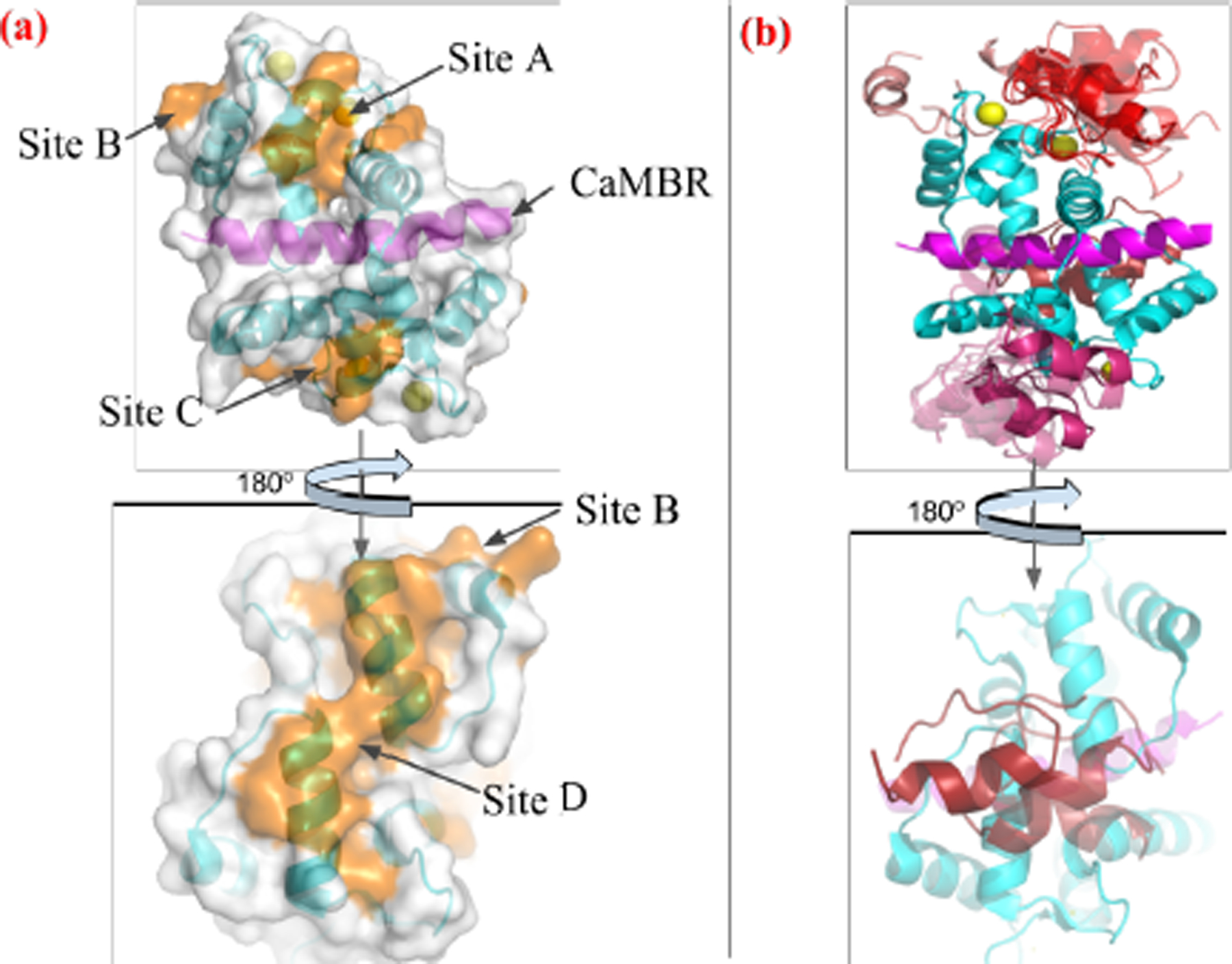 Figure 2: