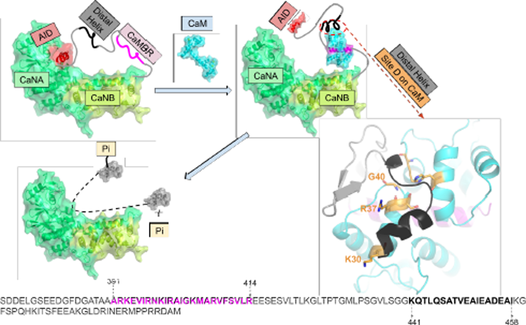 Figure 1: