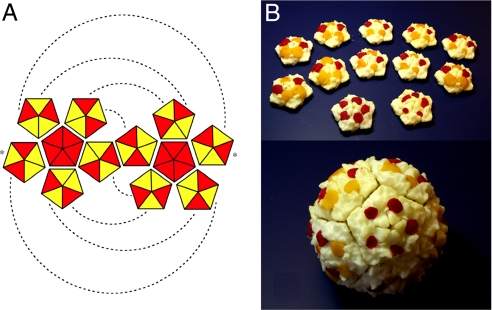 Fig. 2.