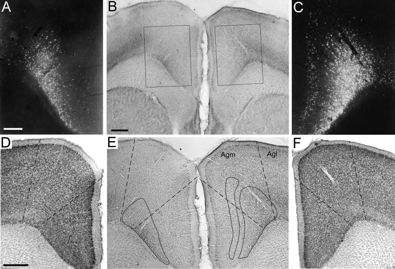 Fig. 13