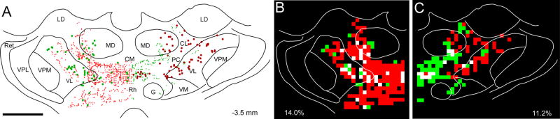 Fig. 6