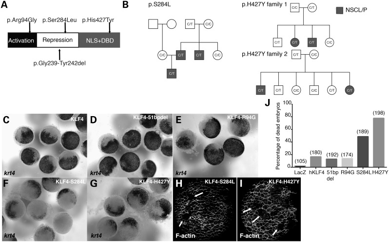 Figure 3.