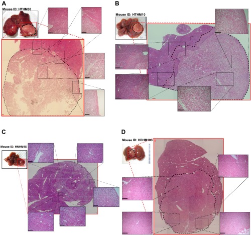 Fig. S6.