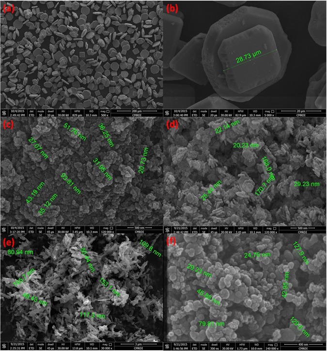 Figure 23