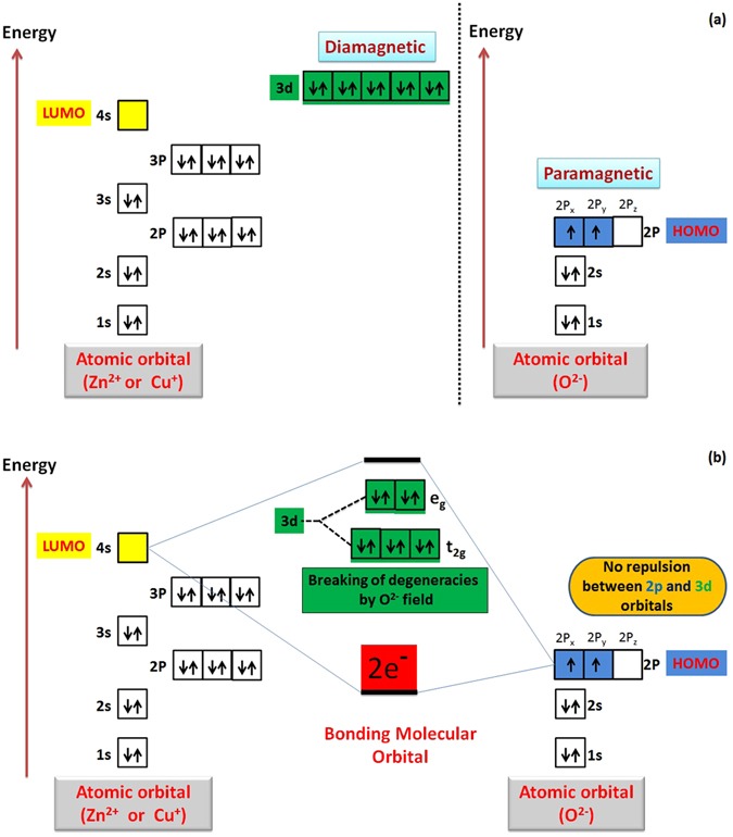 Figure 24