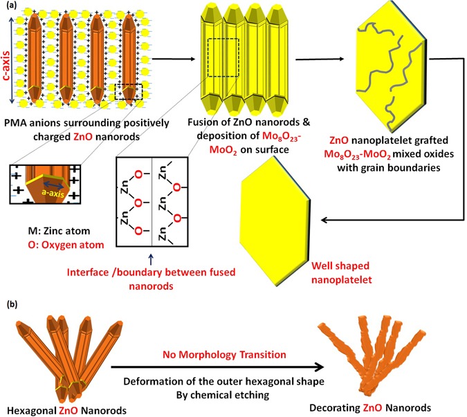 Figure 16